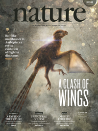 A&nbsp;clash&nbsp;of&nbsp;wing...